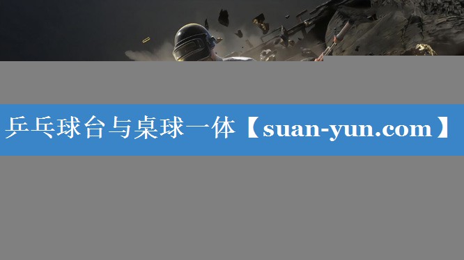 乒乓球台与桌球一体