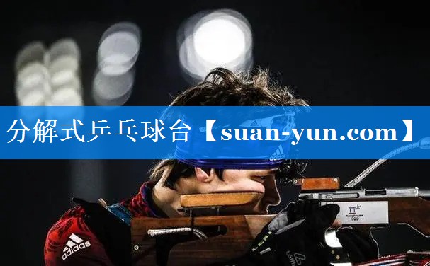 分解式乒乓球台