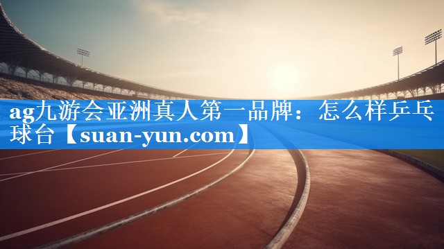 怎么样乒乓球台