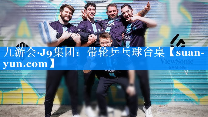 带轮乒乓球台桌 带轮乒乓球台桌
