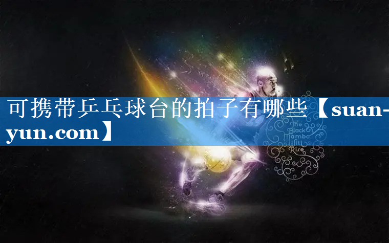 可携带乒乓球台的拍子有哪些