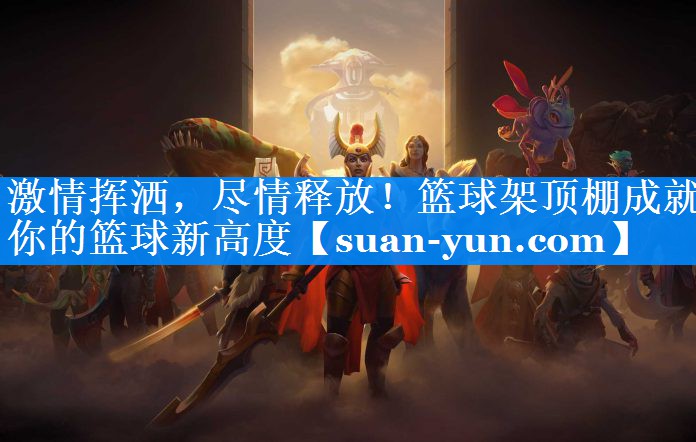 激情挥洒，尽情释放！篮球架顶棚成就你的篮球新高度
