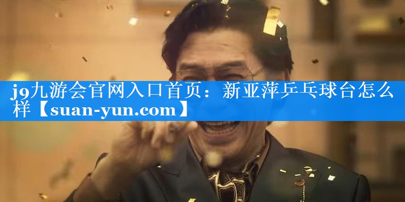 新亚萍乒乓球台怎么样