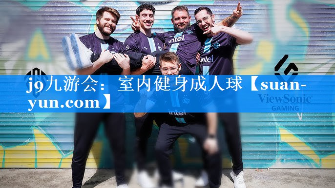 室内健身成人球