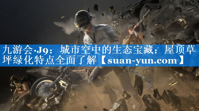 城市空中的生态宝藏：屋顶草坪绿化特点全面了解