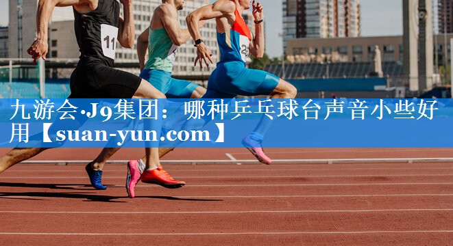哪种乒乓球台声音小些好用