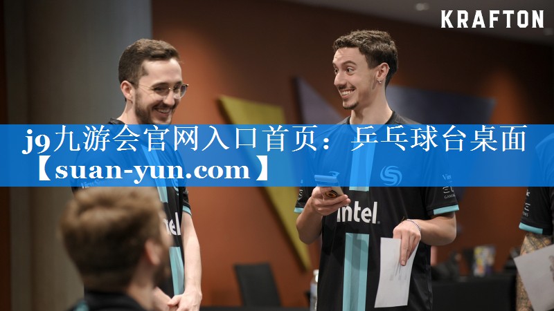 乒乓球台桌面