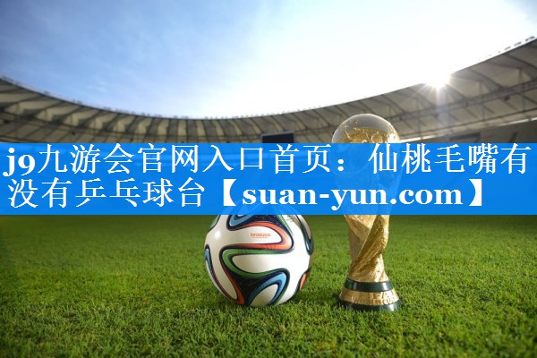 仙桃毛嘴有没有乒乓球台