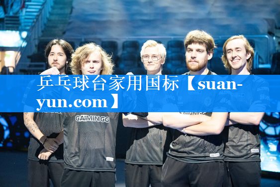 乒乓球台家用国标