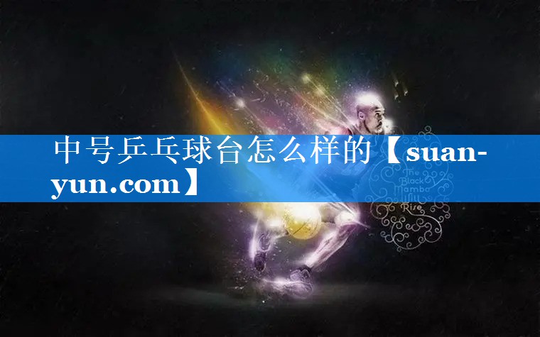 中号乒乓球台怎么样的
