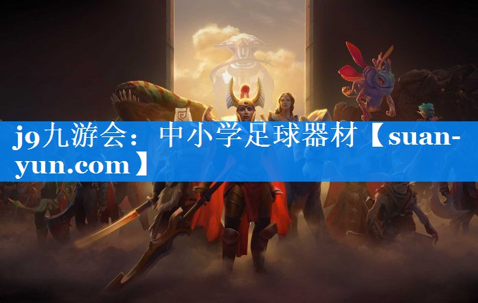 中小学足球器材