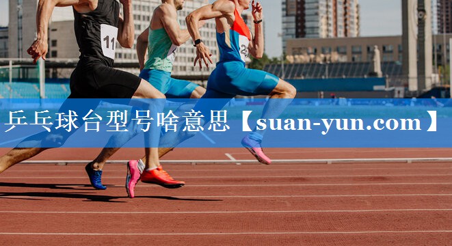 乒乓球台型号啥意思