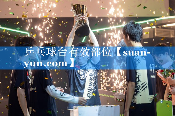 乒乓球台有效部位