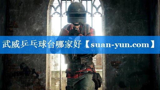 武威乒乓球台哪家好