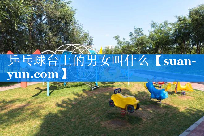 乒乓球台上的男女叫什么